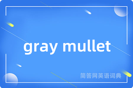 gray mullet