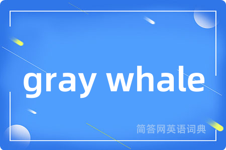 gray whale