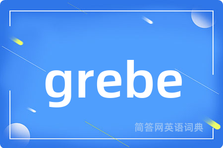 grebe