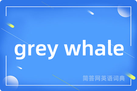 grey whale