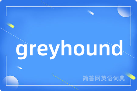 greyhound
