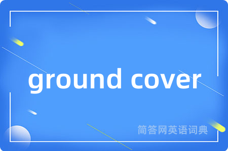 ground cover