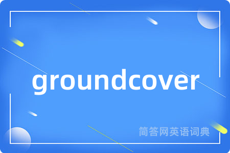 groundcover