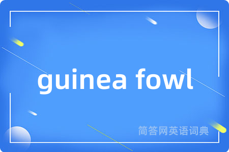 guinea fowl