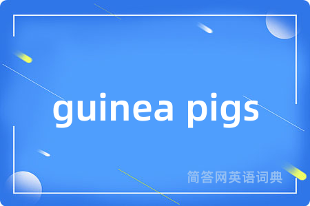 guinea pigs