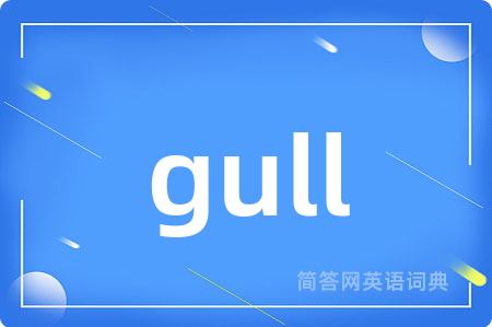 gull是什么意思,gull的中文翻译 gull