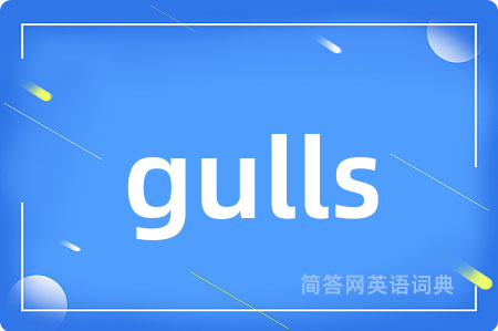 gulls