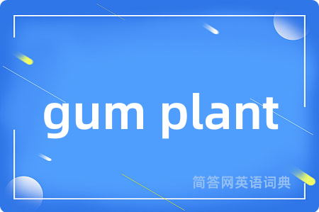 gum plant是什么意思,gum plant的中文翻译 gum plant