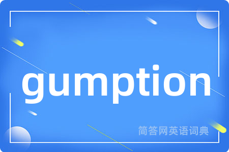 gumption是什么意思,gumption的中文翻译 gumption