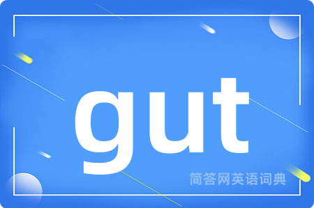 gut是什么意思,gut的中文翻译 gut