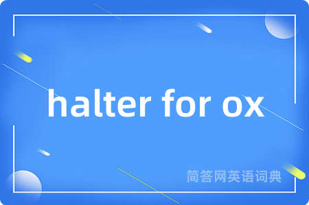 halter for ox