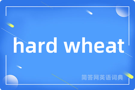 hard wheat