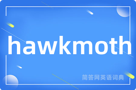hawkmoth