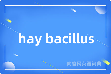 hay bacillus