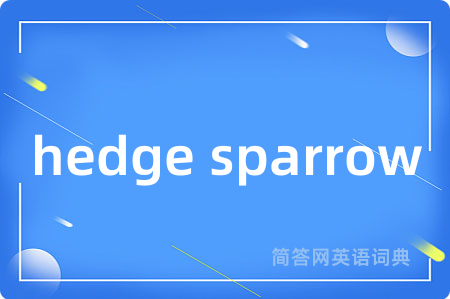 hedge sparrow