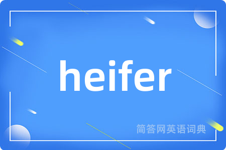 heifer是什么意思,heifer的中文翻译 heifer
