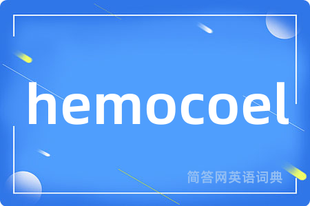 hemocoel是什么意思,hemocoel的中文翻译 hemocoel