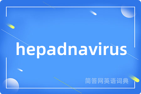 hepadnavirus
