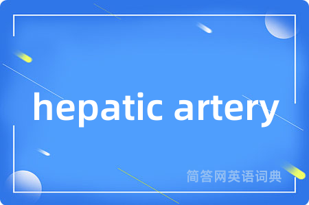 hepatic artery