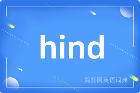 hind是什么意思,hind的中文翻译 hind