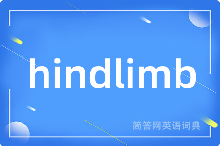 hindlimb
