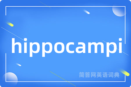 hippocampi是什么意思,hippocampi的中文翻译 hippocampi