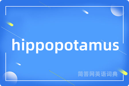 hippopotamus是什么意思,hippopotamus的中文翻译 hippopotamus