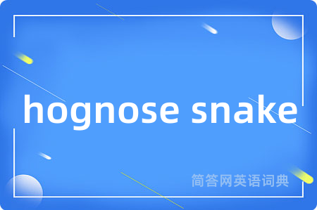 hognose snake是什么意思,hognose snake的中文翻译 hognose snake