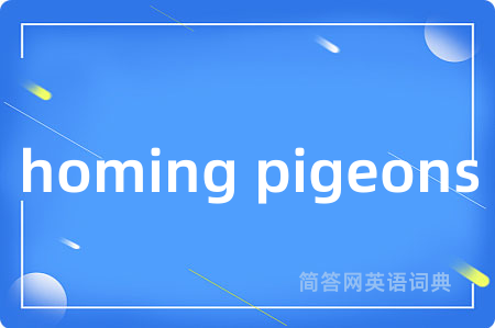 homing pigeons