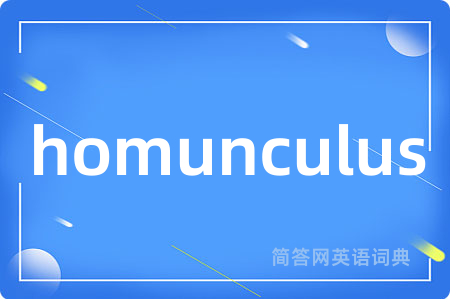 homunculus是什么意思,homunculus的中文翻译 homunculus