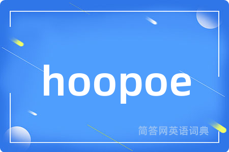 hoopoe