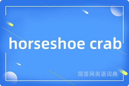 horseshoe crab