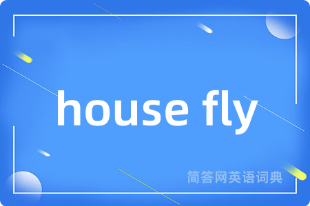 house fly