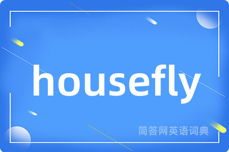 housefly