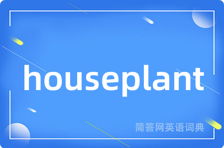 houseplant