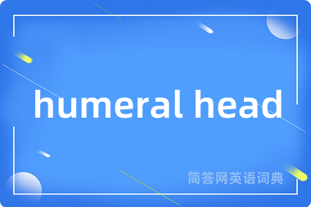 humeral head是什么意思,humeral head的中文翻译 humeral head