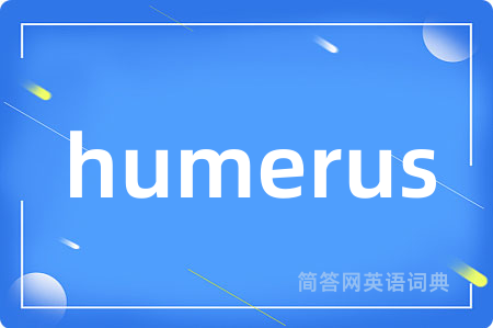 humerus
