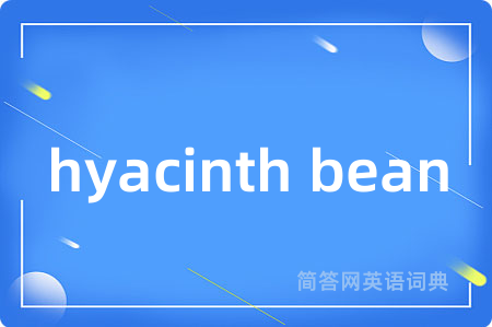 hyacinth bean是什么意思,hyacinth bean的中文翻译 hyacinth bean