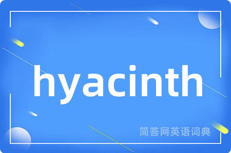 hyacinth是什么意思,hyacinth的中文翻译 hyacinth
