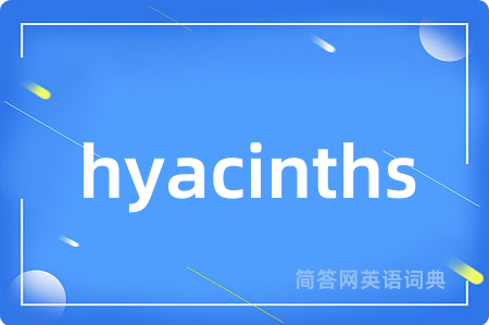 hyacinths是什么意思,hyacinths的中文翻译 hyacinths