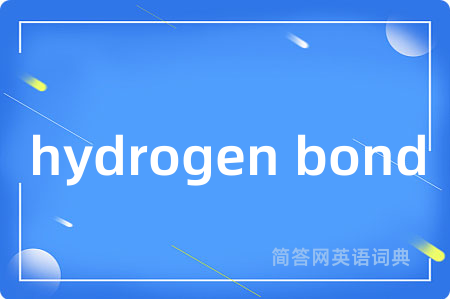 hydrogen bond