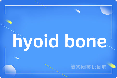 hyoid bone