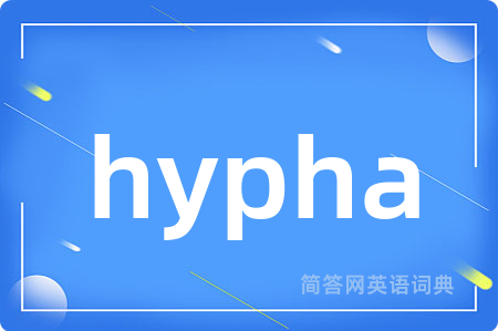 hypha