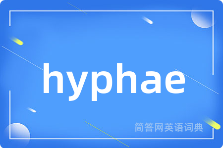 hyphae