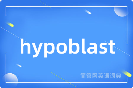hypoblast