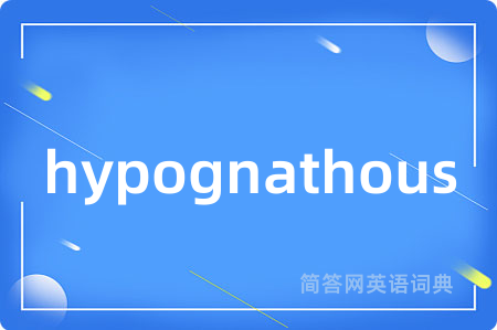 hypognathous是什么意思,hypognathous的中文翻译 hypognathous