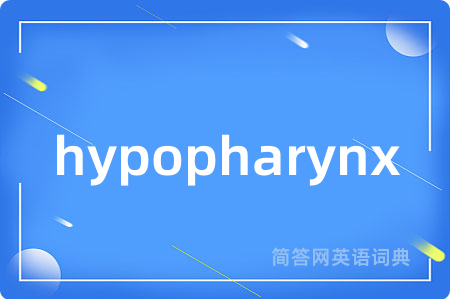hypopharynx