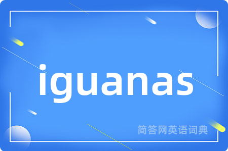 iguanas是什么意思,iguanas的中文翻译 iguanas