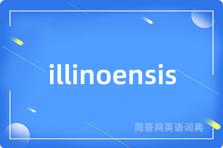 illinoensis