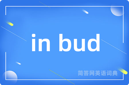 in bud